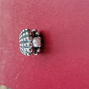 Pandora clam charm